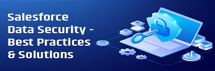 Salesforce Security Best Practices