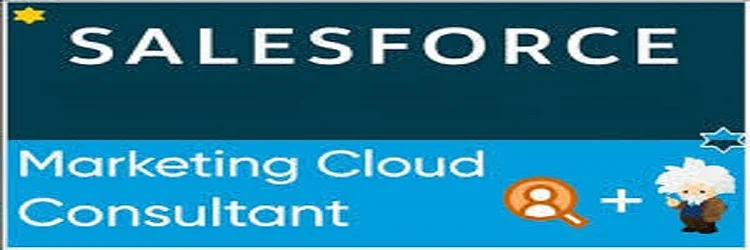 Salesforce Marketing Cloud Consultant